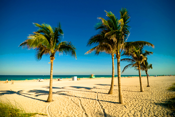 Cheap Suits West Palm Beach Cheap Suits West Palm Beach